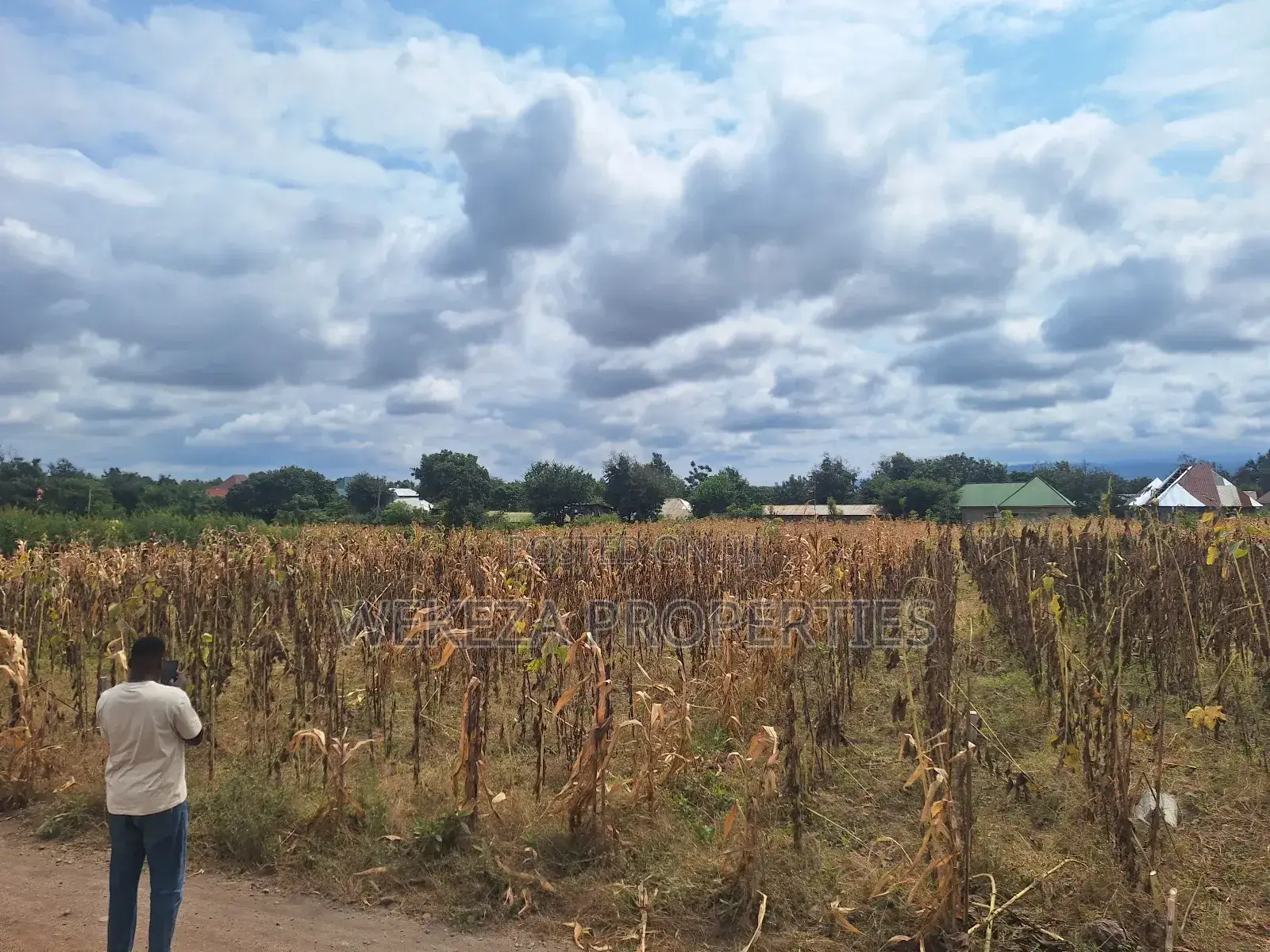 Plot for Sale