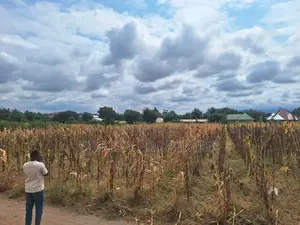 Plot for Sale