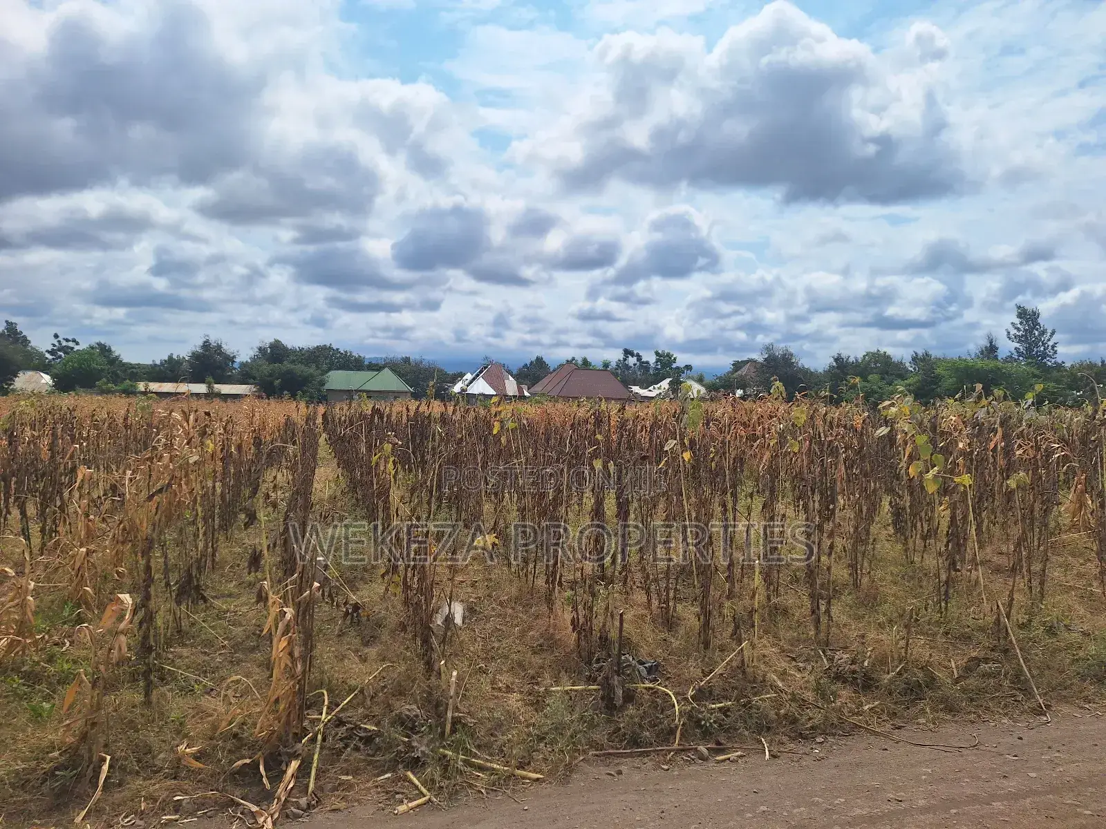 Plot for Sale