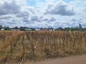 Plot for Sale