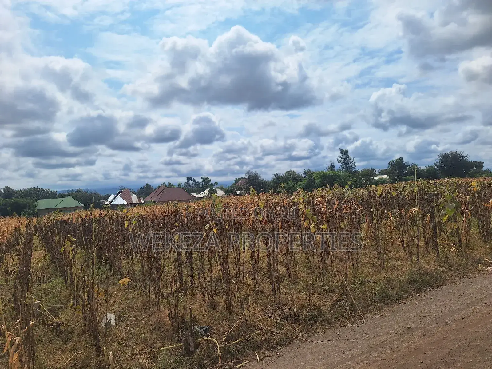 Plot for Sale