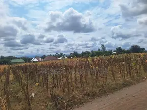 Plot for Sale
