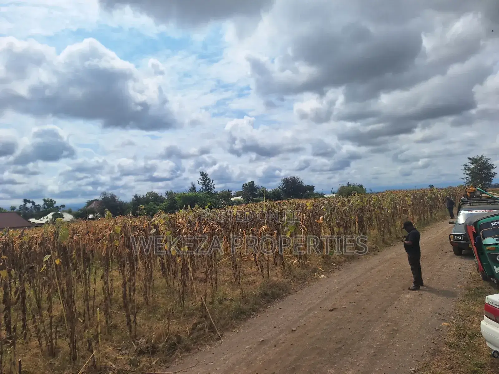 Plot for Sale
