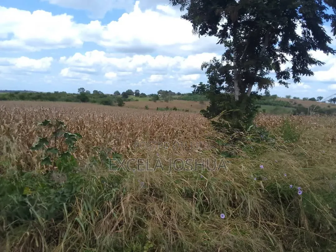 Eneo Limegusa Main Road Linauzwa Kiwangwa Bagamoyo