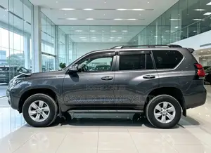 Toyota Land Cruiser Prado 2019 Gray