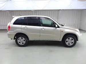Toyota RAV4 Base FWD 2001 Gold