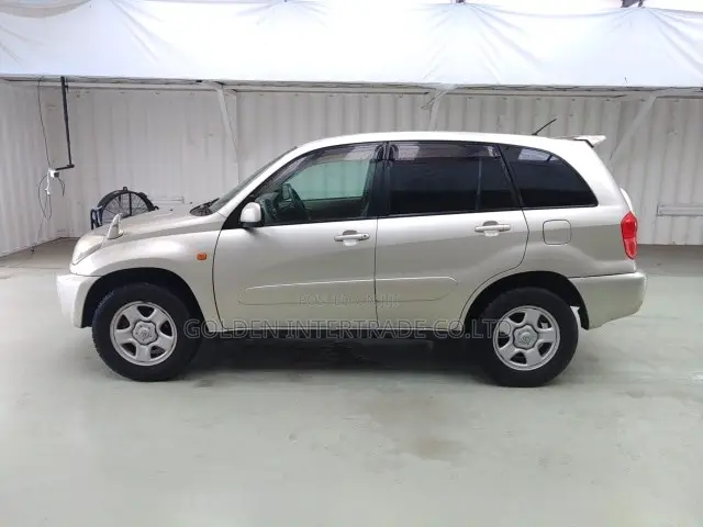 Toyota RAV4 Base FWD 2001 Gold