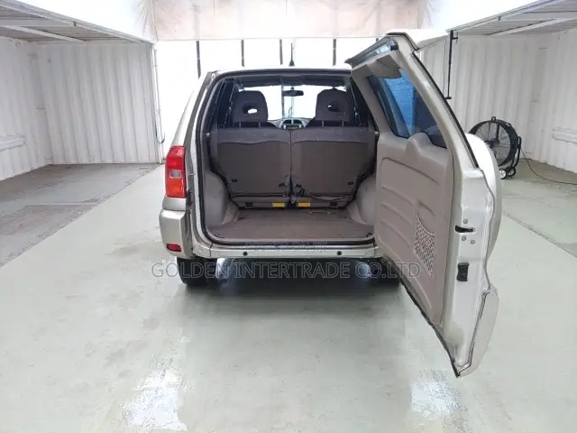 Toyota RAV4 Base FWD 2001 Gold