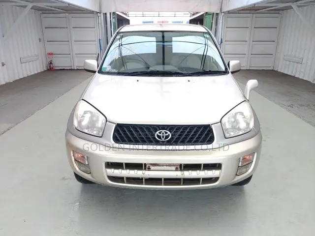 Toyota RAV4 Base FWD 2001 Gold