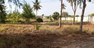 Beach Plot for Sale at Kigamboni Mwongozo
