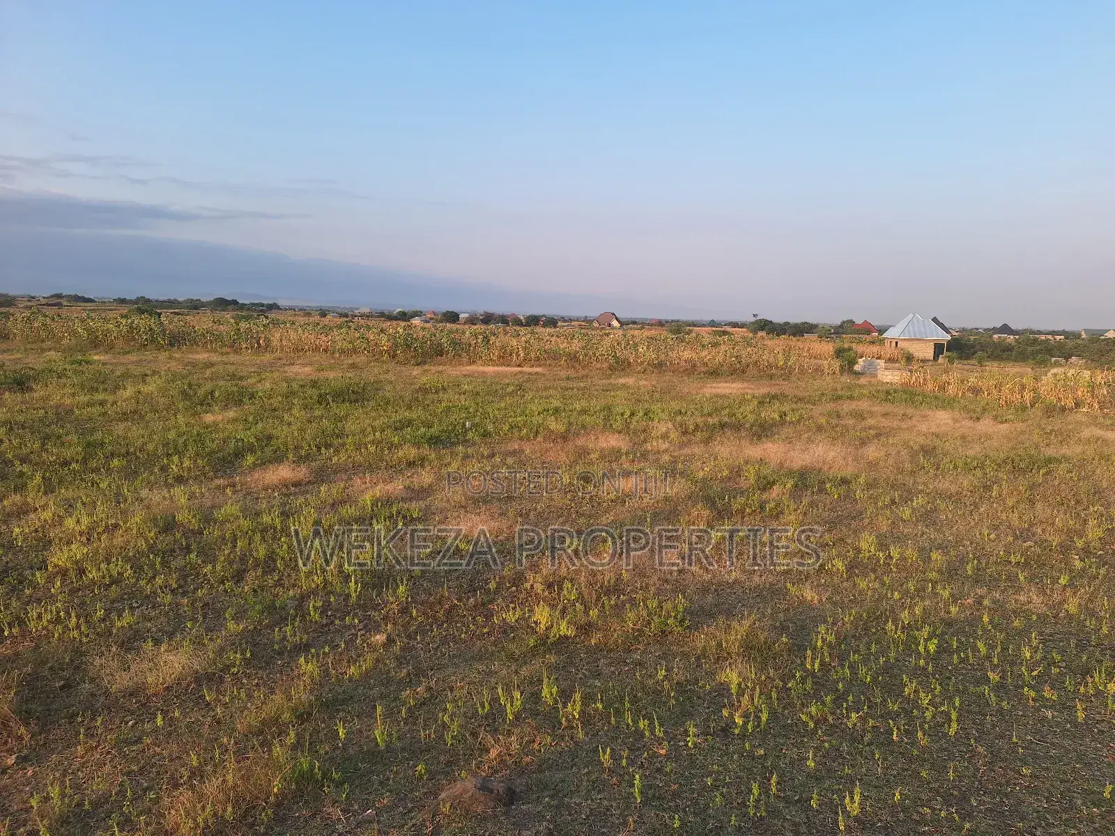 Plot for Sale