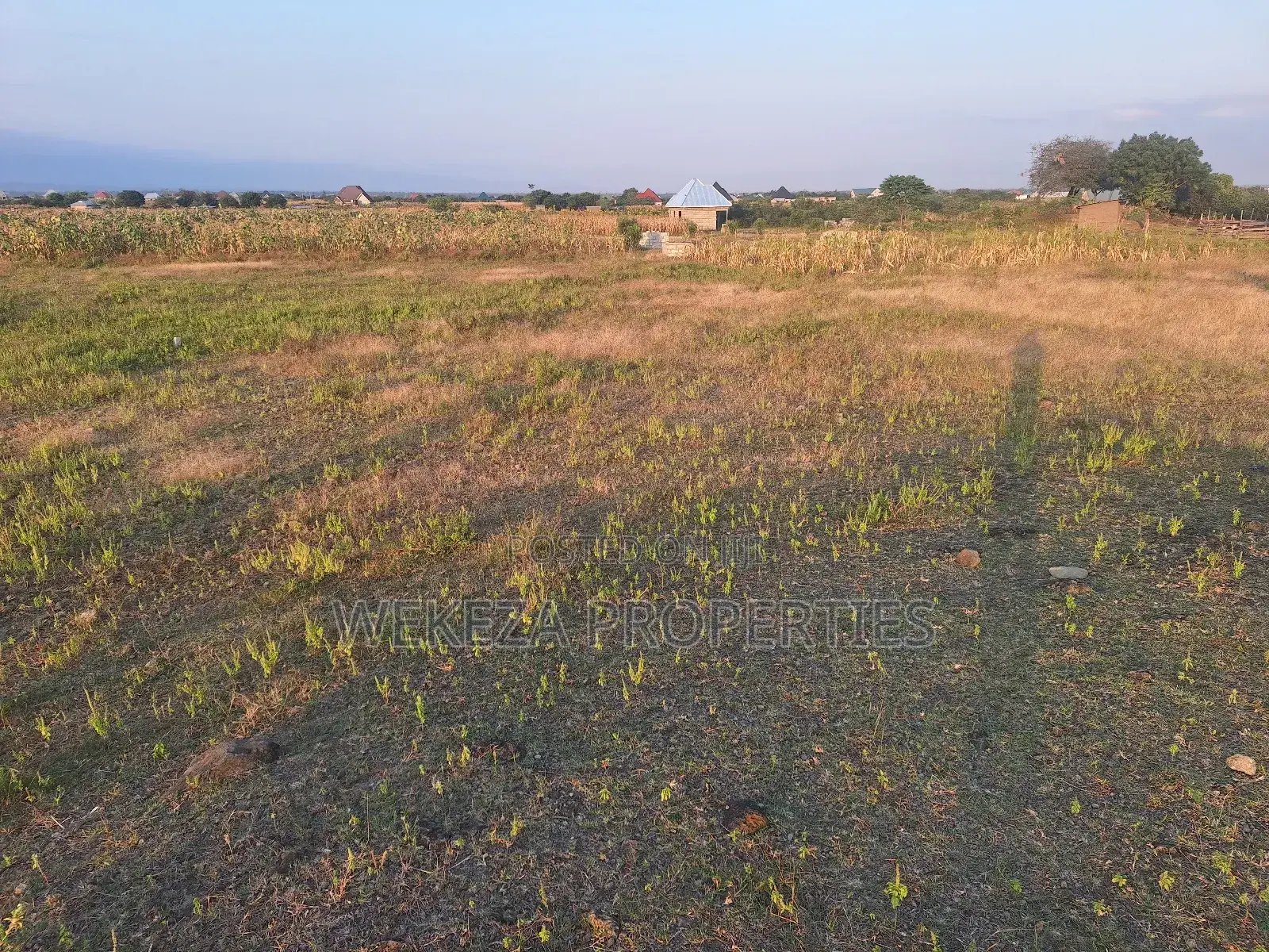 Plot for Sale