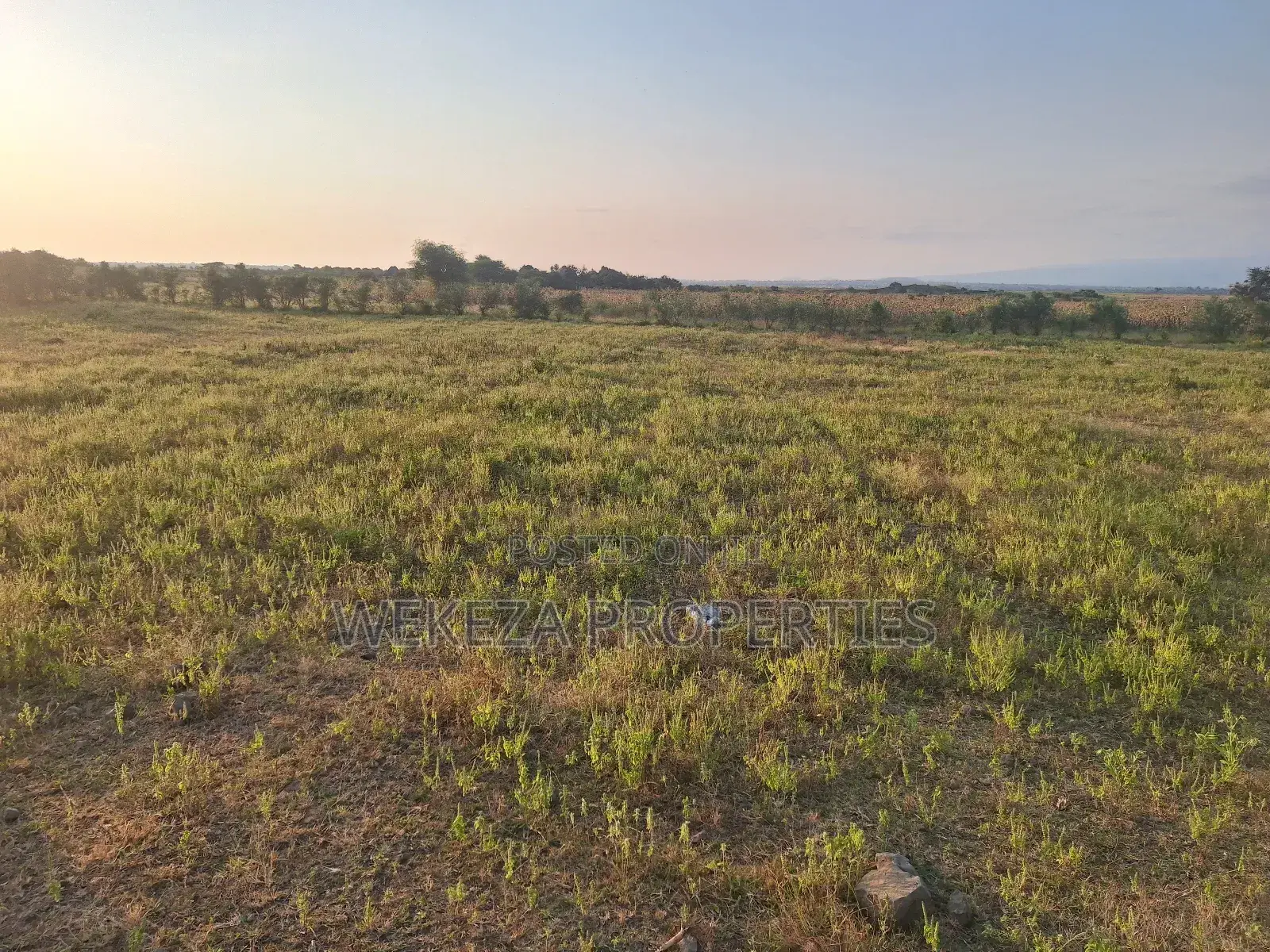 Plot for Sale