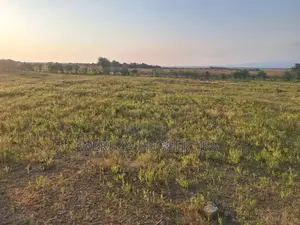 Plot for Sale