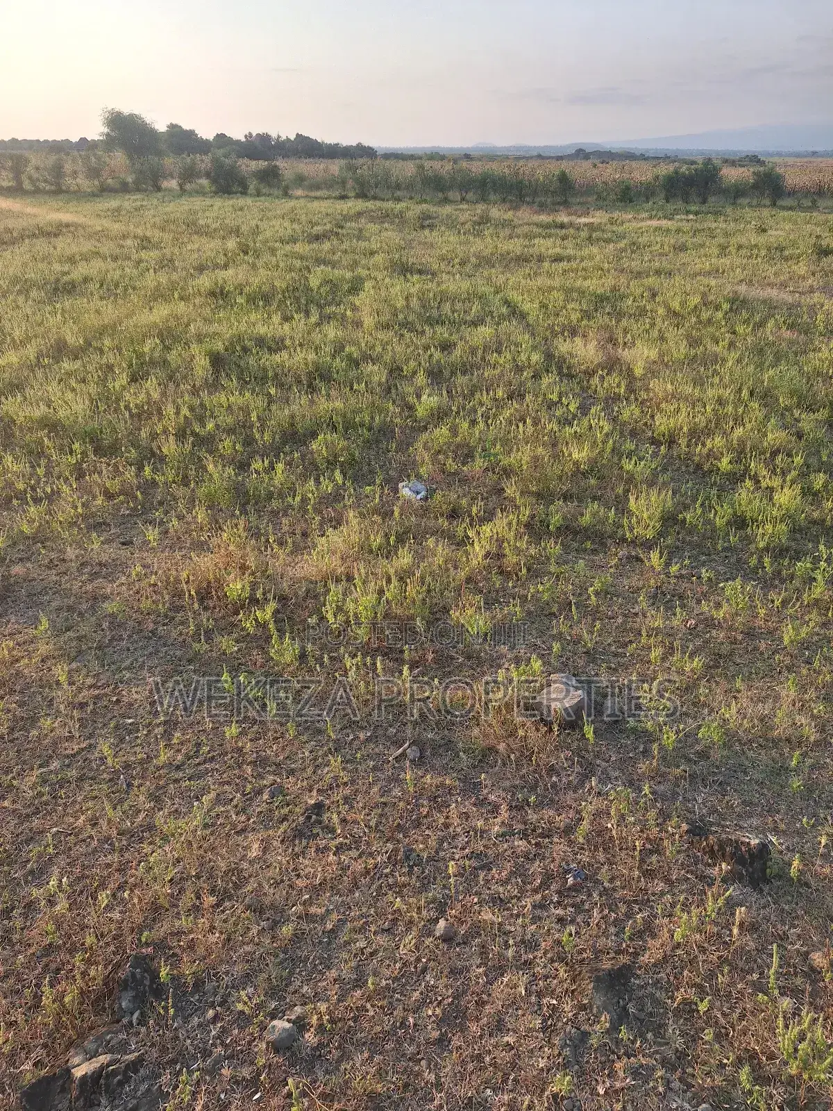 Plot for Sale