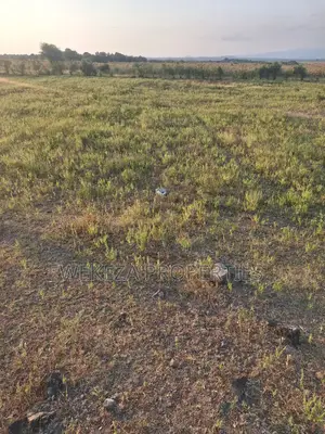 Plot for Sale