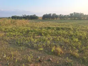Plot for Sale