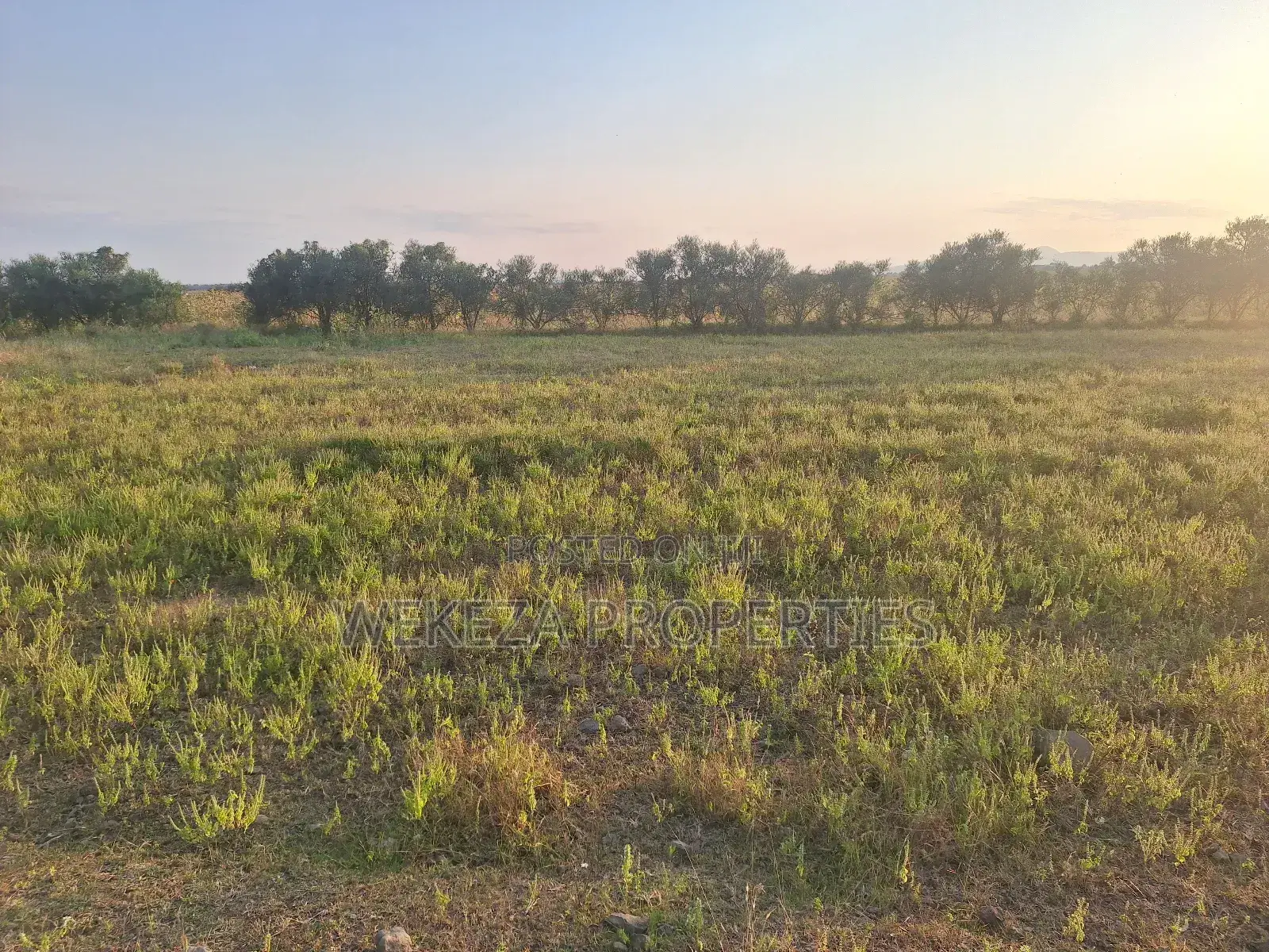 Plot for Sale