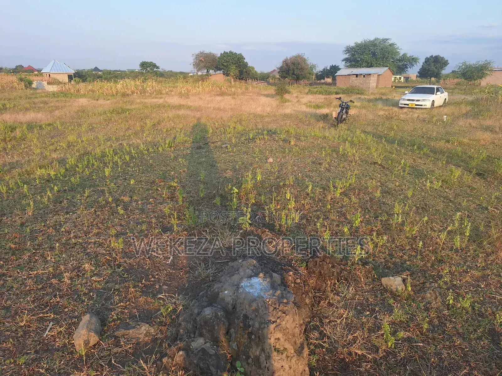 Plot for Sale