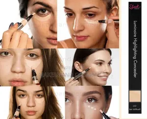 Sleek Concealer Luminaire Highlighting L02