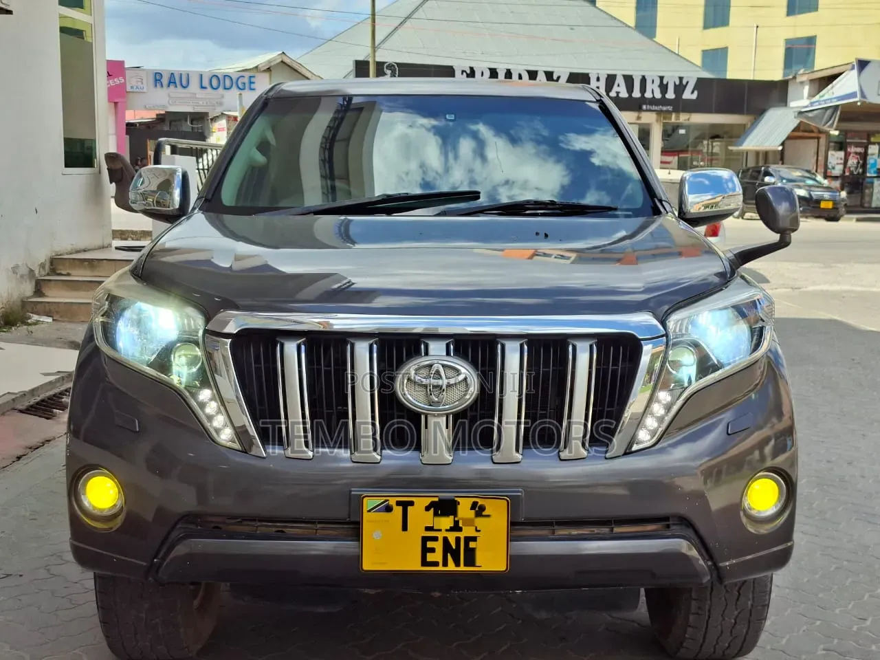 Toyota Land Cruiser Prado 2010 Gray