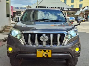 Toyota Land Cruiser Prado 2010 Gray
