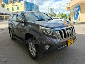 Toyota Land Cruiser Prado 2010 Gray