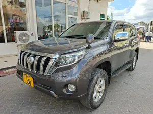 Toyota Land Cruiser Prado 2010 Gray