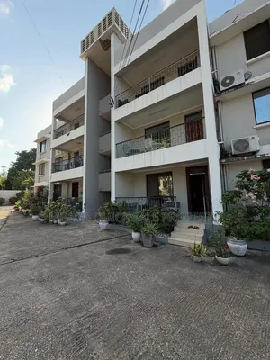 2bdrm Apartment in Mikocheni for rent