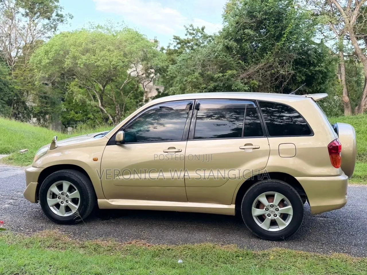 Toyota RAV4 Automatic 2003 Gold