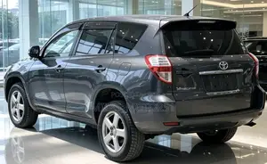 Toyota Vanguard 2009 Gray