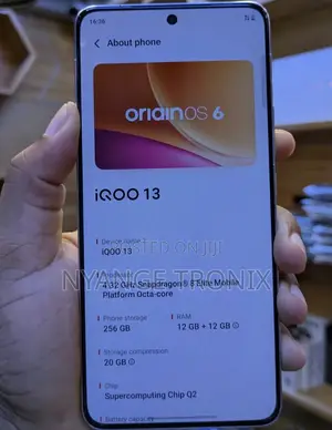 Vivo iQOO 13 256 GB Gray