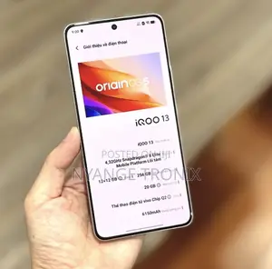 Vivo iQOO 13 256 GB Gray