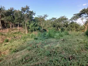 Viwanja Viwili Vimeungwana Vinauzwa Kiluvya Madukani Kwa Sumaye