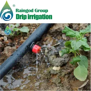 Irrigation Blind
