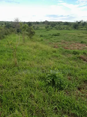 Shamba Hekari 55 Kigamboni Linauzwa