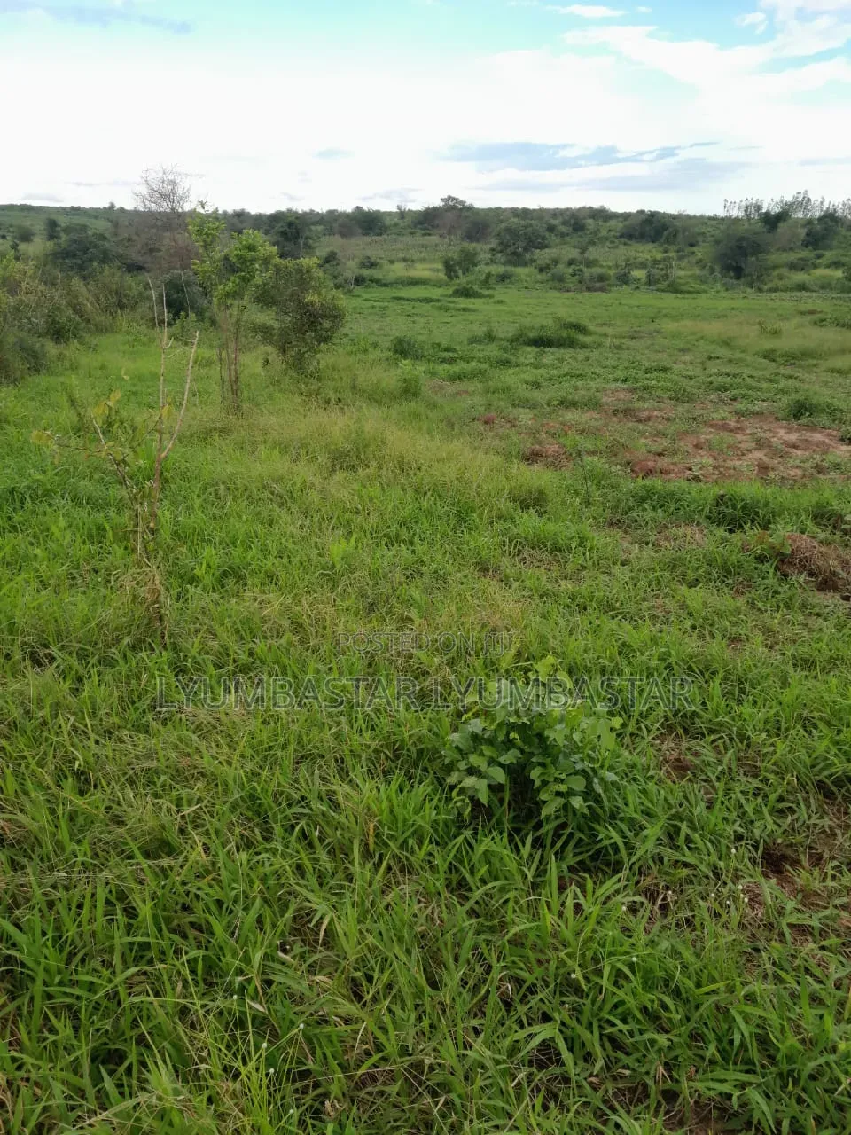Shamba Hekari 55 Kigamboni Linauzwa