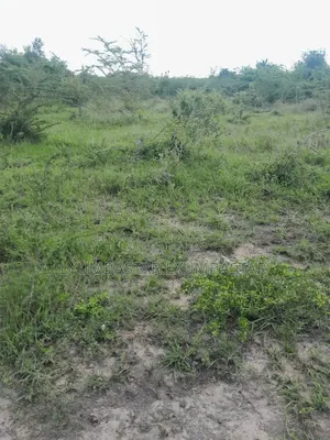 Shamba Hekari 55 Kigamboni Linauzwa
