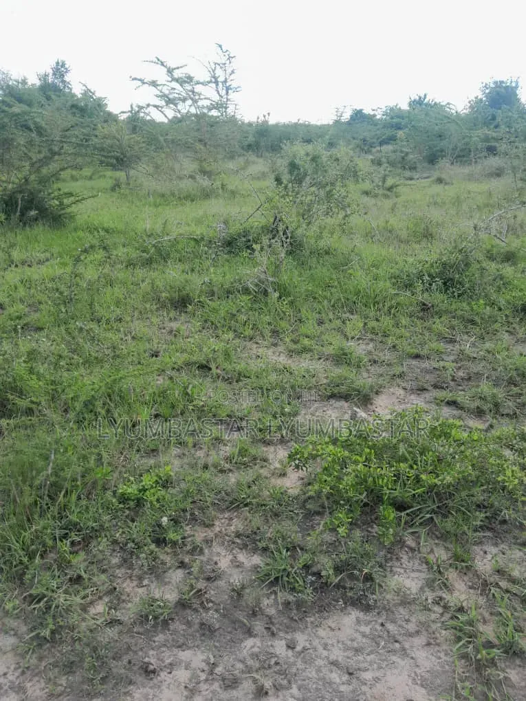 Shamba Hekari 55 Kigamboni Linauzwa