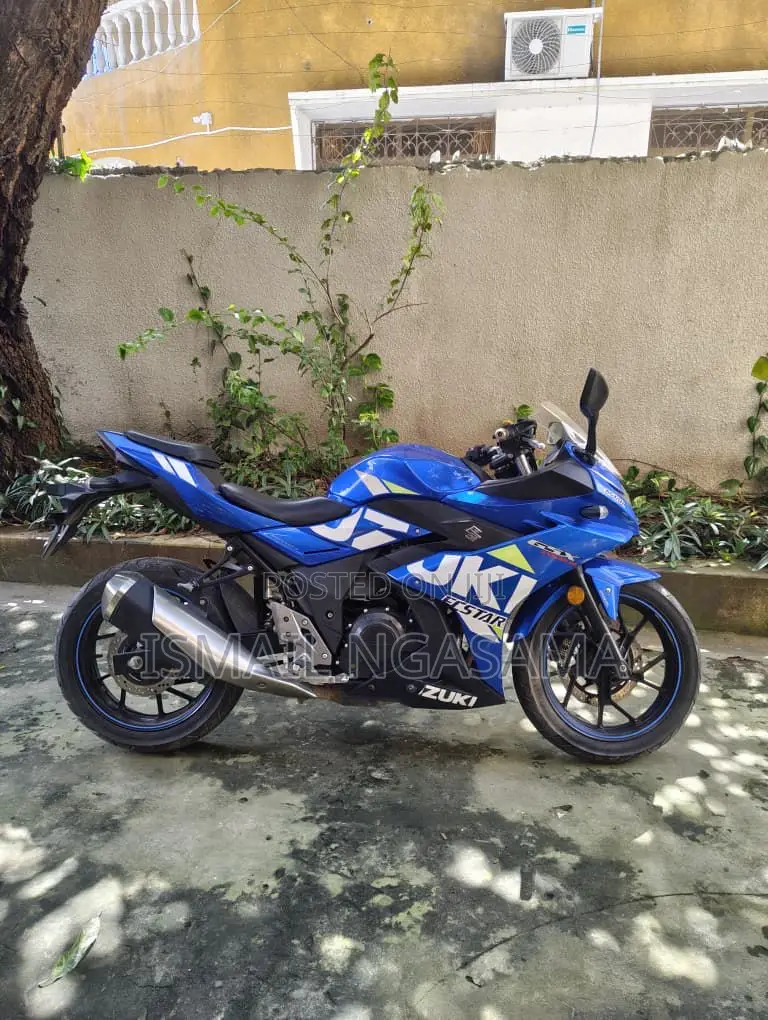 Suzuki 2022 Blue