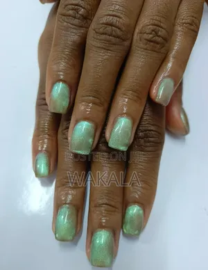 Hard Gel Stiletto Nails - Purple Cat Eye 9d Magnet