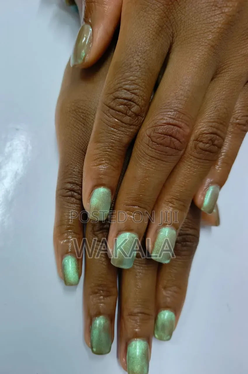 Hard Gel Stiletto Nails - Purple Cat Eye 9d Magnet