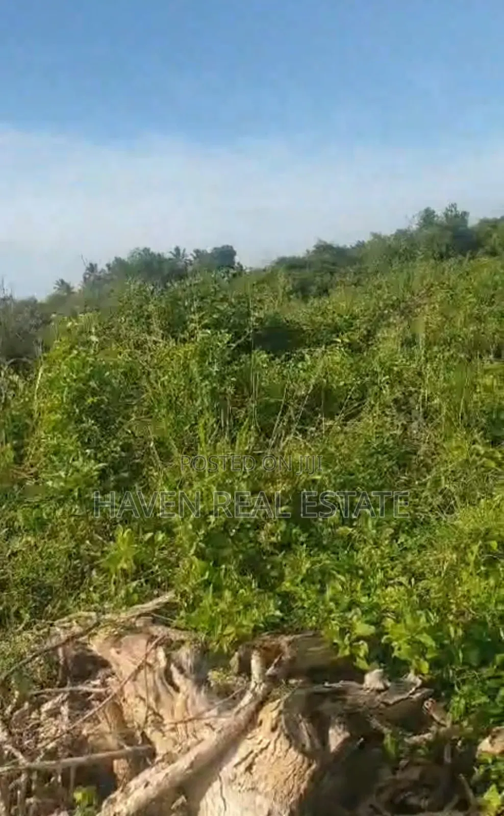Beach Plot for Sale at Zanzibar