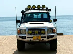 Toyota Land Cruiser 2020 Silver