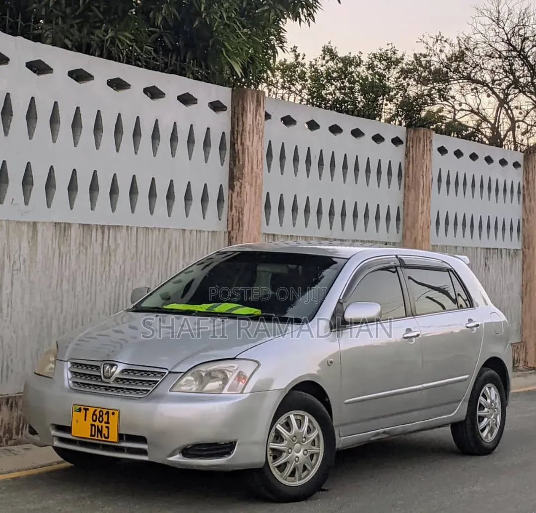 Toyota Allex 2010 Silver