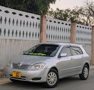 Toyota Allex 2010 Silver