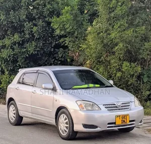 Toyota Allex 2010 Silver