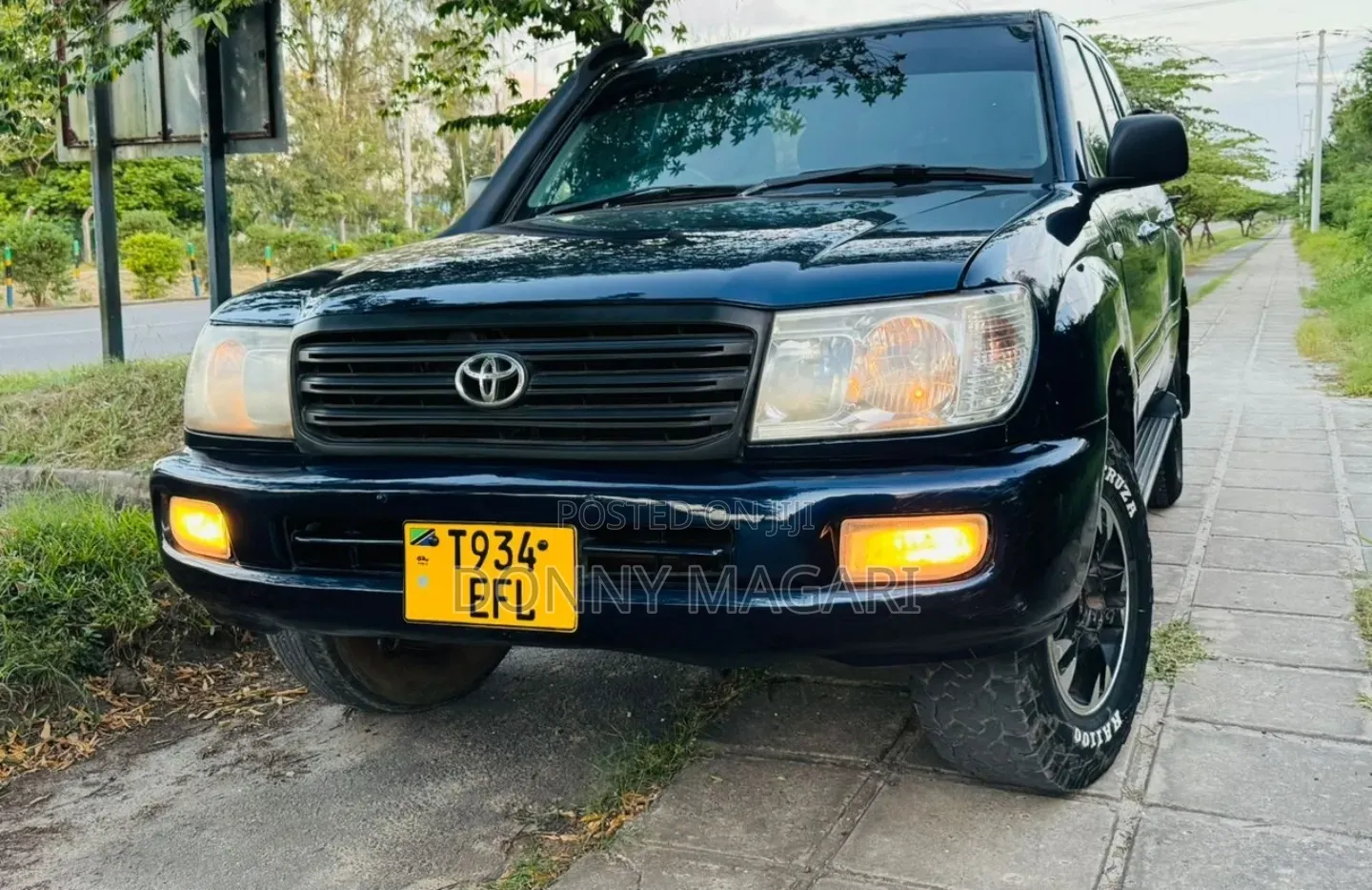 Toyota Land Cruiser 2006 Blue