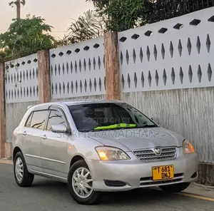 Toyota Allex 2010 Silver