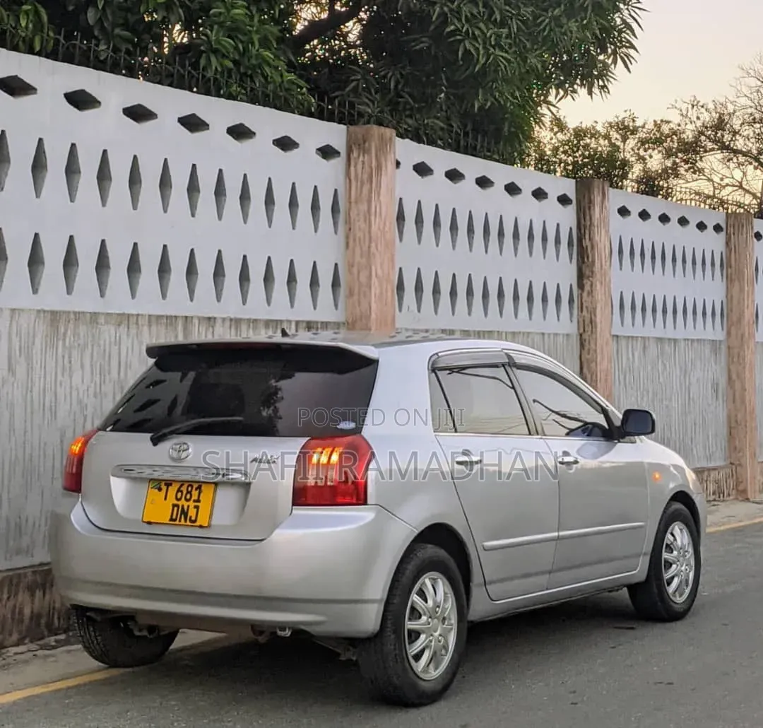 Toyota Allex 2010 Silver